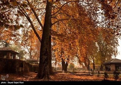 فصل پاییز در کشمیر