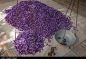 انعقاد 12 هزار قرارداد آتی زعفران در بورس کالا از زمان راه‌اندازی