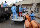 بیش از 4 تن دارو و مکمل درمانی دام از استان مرکزی به مناطق زلزله‌زده کرمانشاه ارسال شد