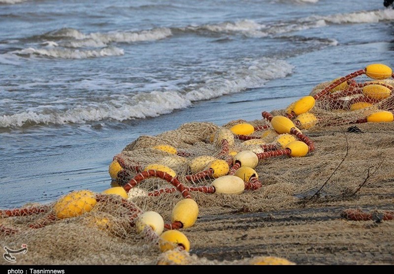 تورهای خالی از صید ماهی در واجارگاه گیلان به روایت تصویر