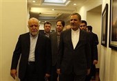 زنگنه و جهانگیری عازم بولیوی شدند / تشریح مواضع ایران در حوزه گاز