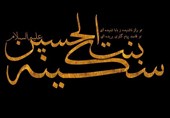 درباره دانش و فعالیتهای فرهنگی حضرت سکینه چه میدانید
