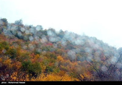 طبیعت پاییزی در گلستان