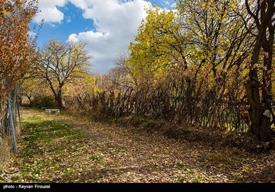 طبیعت پاییزی در کردستان