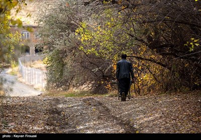 طبیعت پاییزی در کردستان
