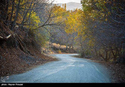 طبیعت پاییزی در کردستان