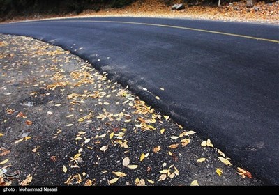 صوبہ گلستان میں خزاں کے قدرتی مناظر