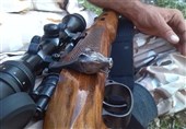 شکارچیان غیر مجاز یک رأس کل وحشی در قزوین به دام افتادند