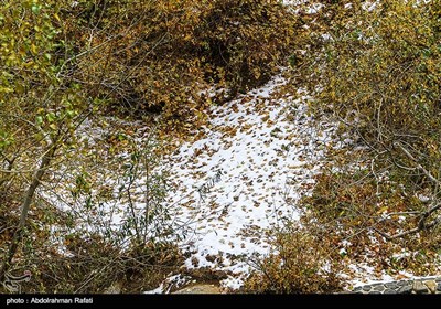 طبیعت برفی گنجنامه همدان