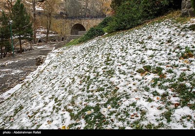 طبیعت برفی گنجنامه همدان