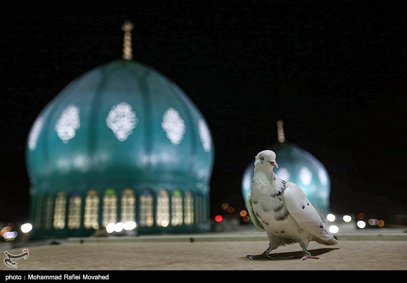Jamkaran: One of the Primary Significant Mosques in the City of Qom, Iran