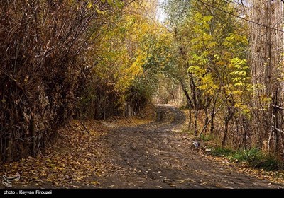 کردستان میں موسم خزاں کی تصویری جھلکیاں