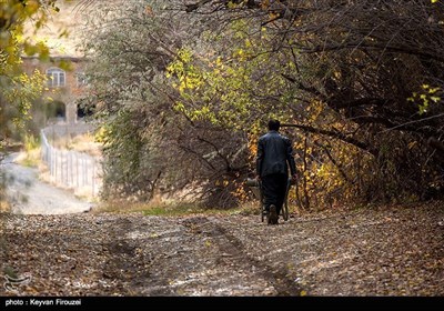 کردستان میں موسم خزاں کی تصویری جھلکیاں