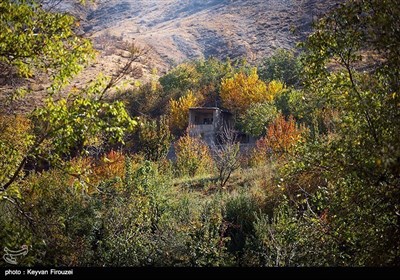 کردستان میں موسم خزاں کی تصویری جھلکیاں