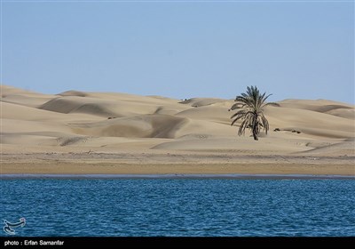 Iran's Beauties in Photos: Darak Beach