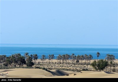 Iran's Beauties in Photos: Darak Beach