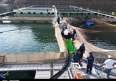 تولید 4000 تن ماهی پرورشی در استان بوشهر هدف‌گذاری امسال است + تصاویر