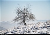 آغاز بارش برف پاییزی گسترده از روز سه شنبه در آذربایجان غربی