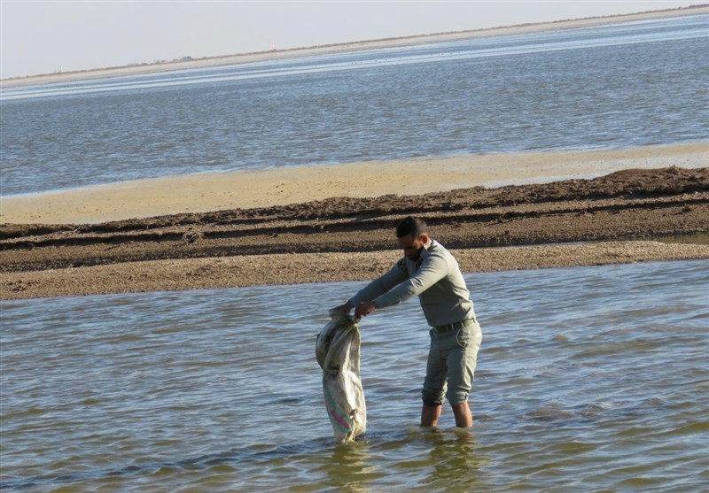 گلایه‌های فرمانده یگان محیط زیست خوزستان از کمبود امکانات