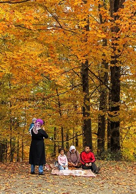 Iran's Beauties in Photos: Autumn in Khalkhal-Asalem Region 
