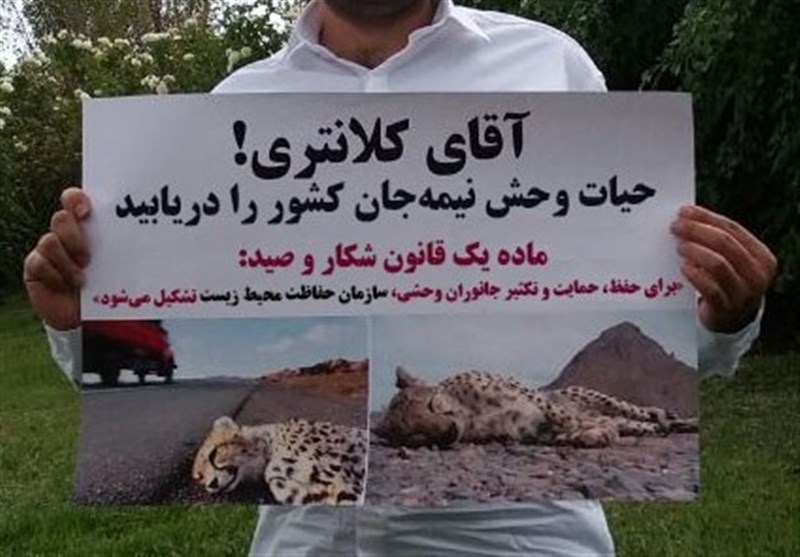 جای خالی &quot;حیات وحش&quot; در گزارش عملکرد 100 روزه &quot;کلانتری&quot;