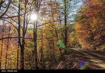 ایران؛ اسالم سے خلخال تک ۔۔۔