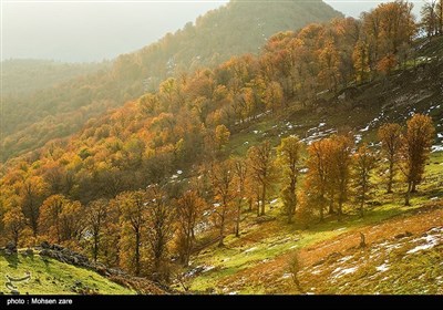 ایران؛ اسالم سے خلخال تک ۔۔۔