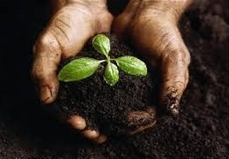 نخستین همایش روز جهانی خاک در سنندج برگزار شد