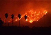 آتش‌سوزی باعث تخلیه گسترده مردم در کالیفرنیا شد + تصاویر