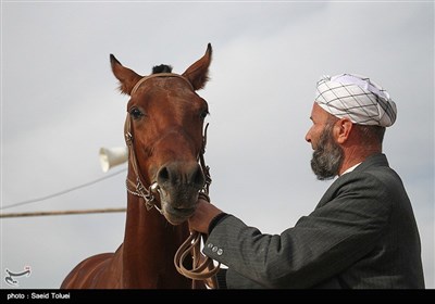 کورس اسب دوانی پاییزه - بجنورد