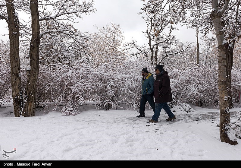 بارش برف در استان البرز آغاز شد