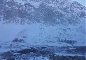 زنجان|7 کوهنورد مفقود شده در طارم پیدا شدند؛ یک نفر فوت کرد