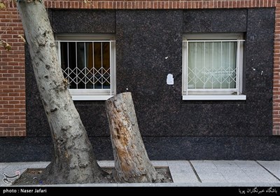 محله های تهران- تجریش