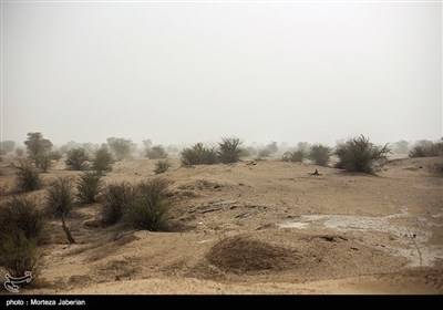 Operation Begins in Iran to Tackle Dust Pollution