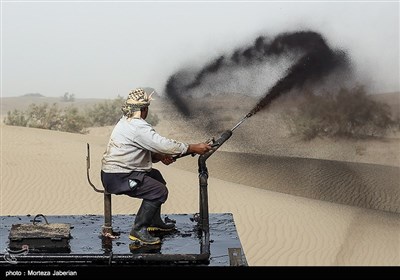 مالچ پاشی 10 هزار هکتار از شن زارهای خوزستان جهت مقابله با ریزگردها