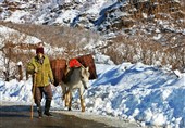 برف پائیزی روستاها در شرق گیلان را سفیدپوش کرد