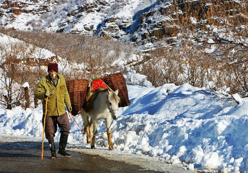 بارش برف پاییزی 60 سانتی متری در اشکورات رودسر + فیلم