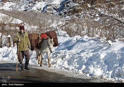 ایران کے صوبہ ہمدان میں موسم خزاں کی پہلی برف باری