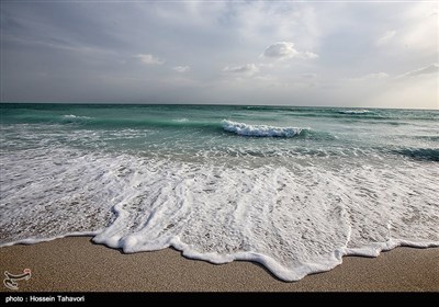 خلیج فارس -کیش