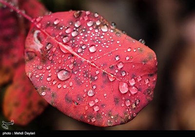 Iran's Beauties in Photos: Arasbaran Area