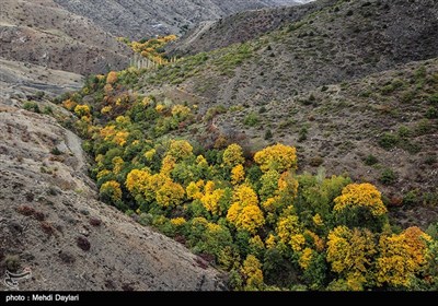 Iran's Beauties in Photos: Arasbaran Area