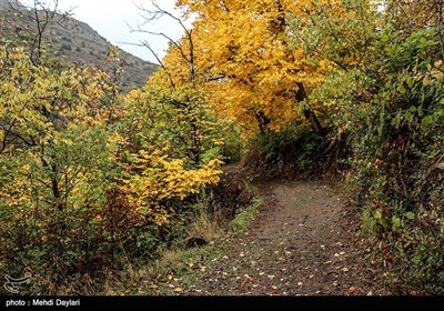 Iran's Beauties in Photos: Arasbaran Area