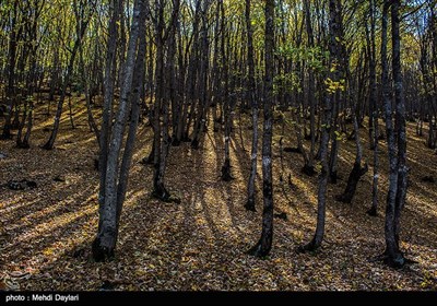 Iran's Beauties in Photos: Arasbaran Area