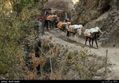 بدلیل غیرممکن بودن مسیر تردد خودرو حمل بارهای ضروری برای ساکنان به وسیله قاطر انجام می گیرد
