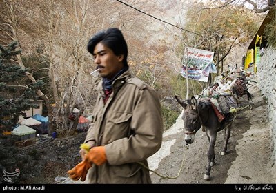 محله های تهران- درکه