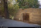 واکنش عضو شورای تهران به تخریب فرسایشی باغات طرشت
