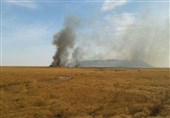 آتش 60 هکتار از مراتع هامون را به خاکستر تبدیل کرد