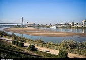 کارون دیگر توان برداشت از سرشاخهها را ندارد