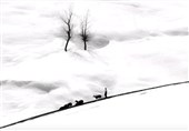 هنرمند اردبیلی در مسابقه عکس رویداد روز بین‌المللی کوهستان درخشید