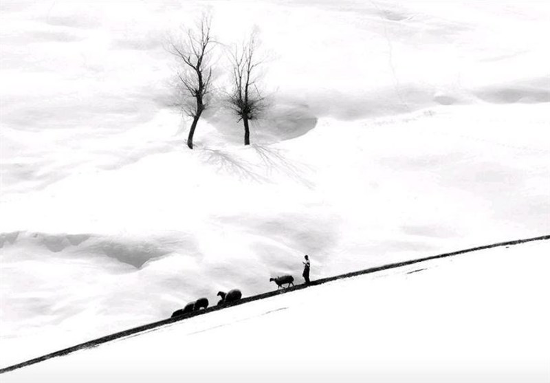 هنرمند اردبیلی در مسابقه عکس رویداد روز بین‌المللی کوهستان درخشید